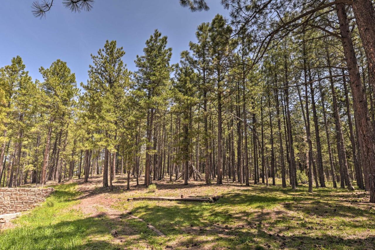 Angel Fire All-Season Escape Walk To Ski And Trails Экстерьер фото